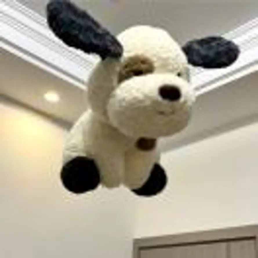 coderCy的头像