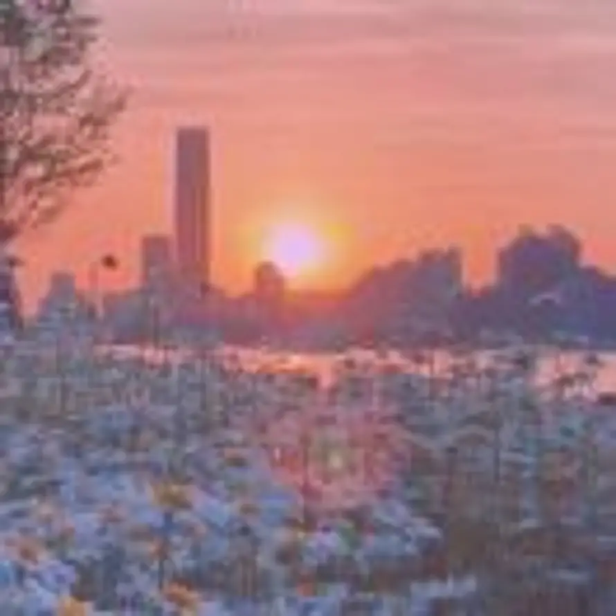 诗酒趁年华的头像