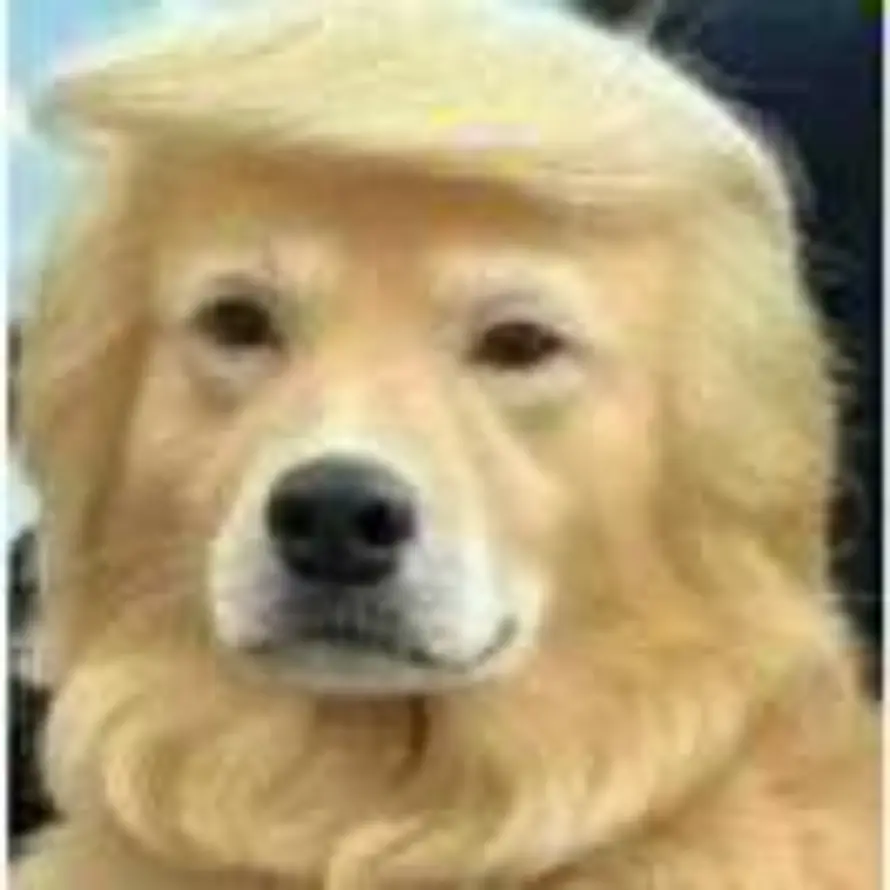 拿铁的咖啡的头像