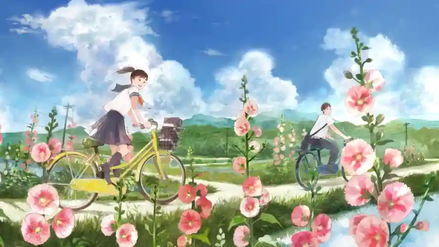 4k自然壁纸 - 青春 - 热门壁纸 - wallpaper「哲风壁纸」