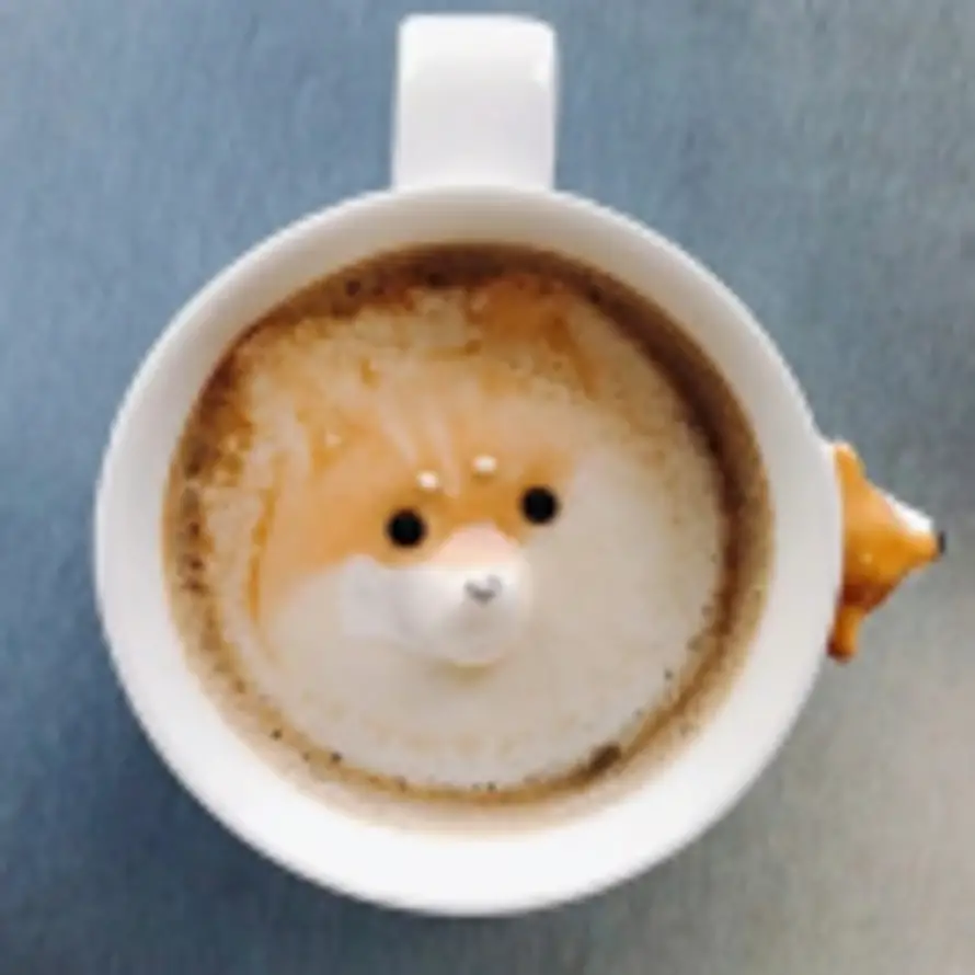 柯基茶的头像