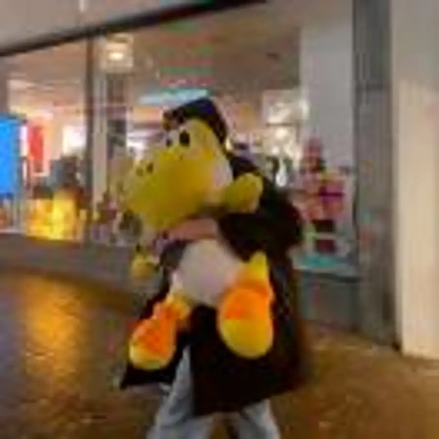 我吃柠檬.的头像