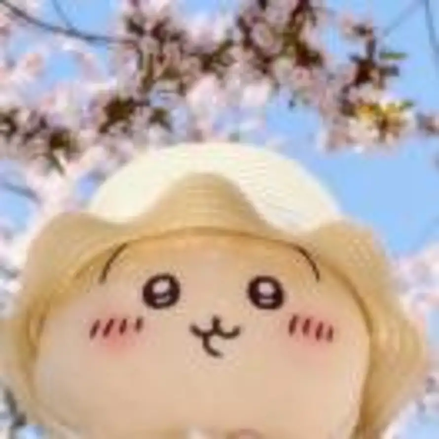 ^OvO^的头像