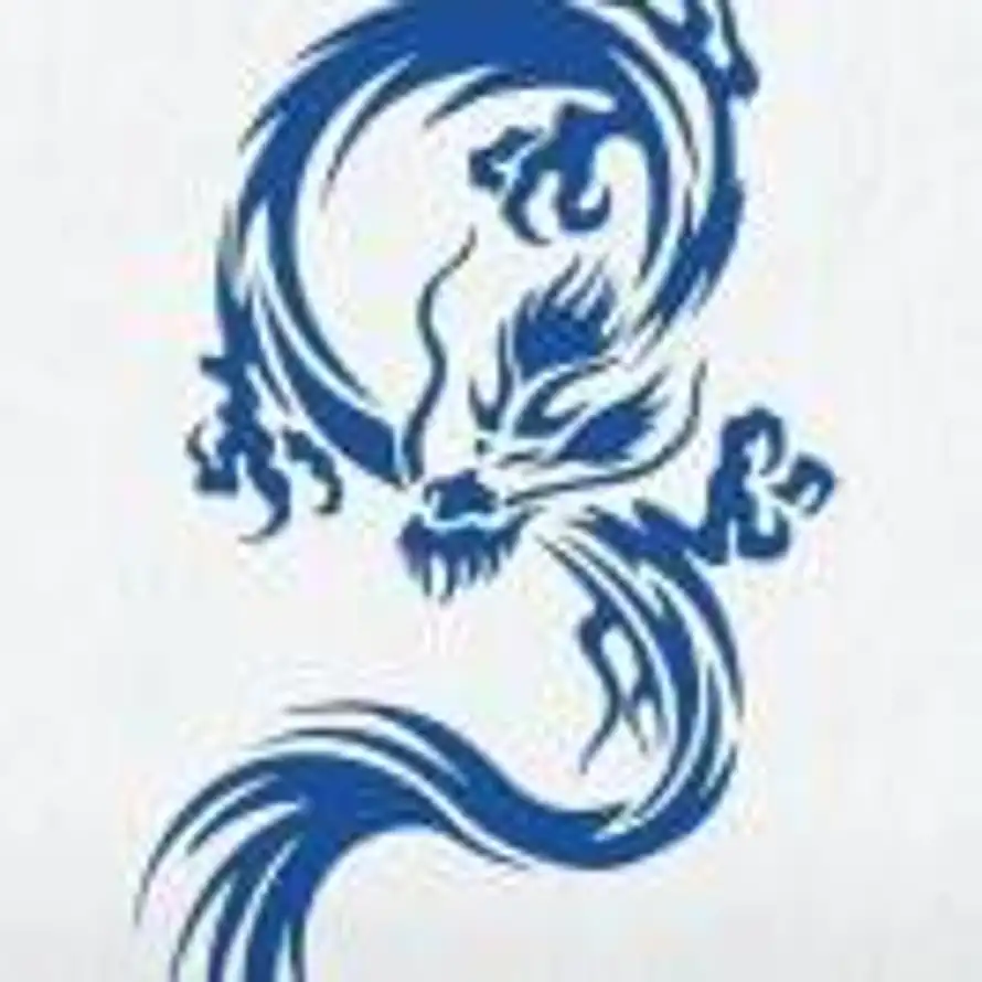 毛球的头像
