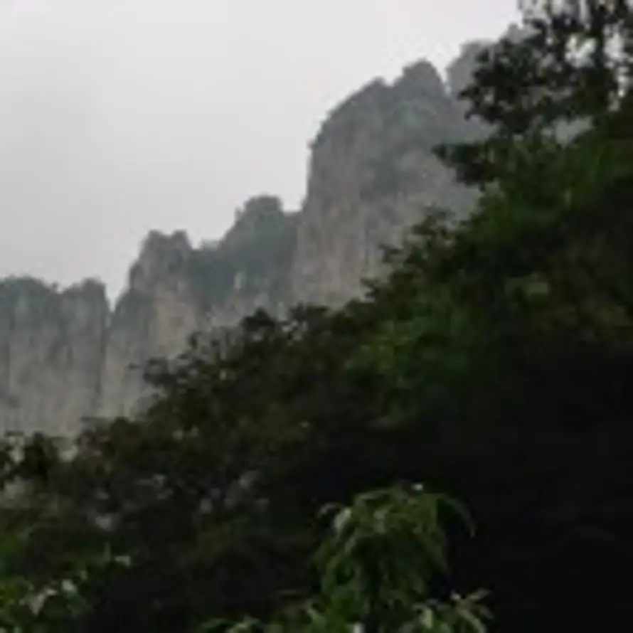 新世的头像