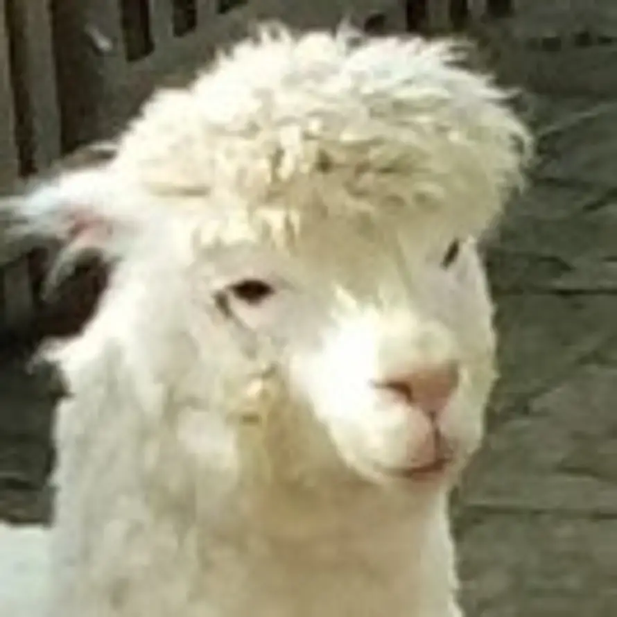 Mr。的头像