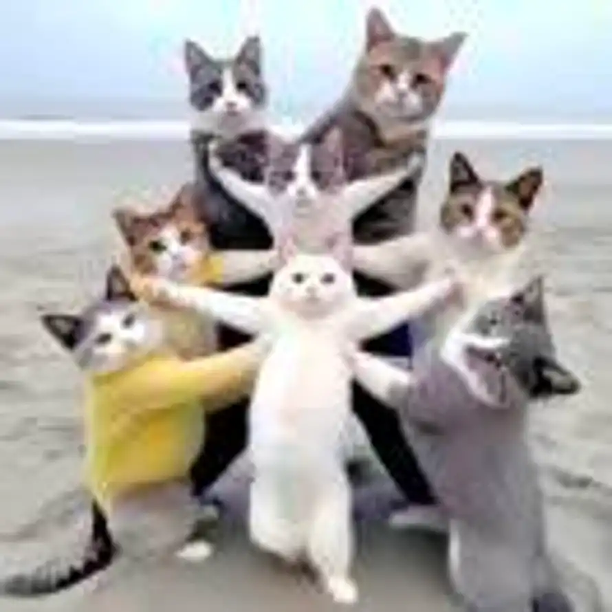 对方正在输入......的头像