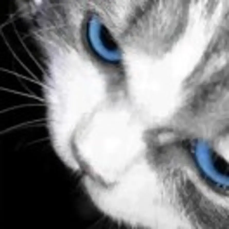 至死不渝.的头像