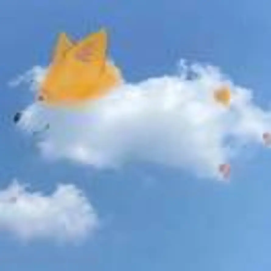 秋刀鱼的头像