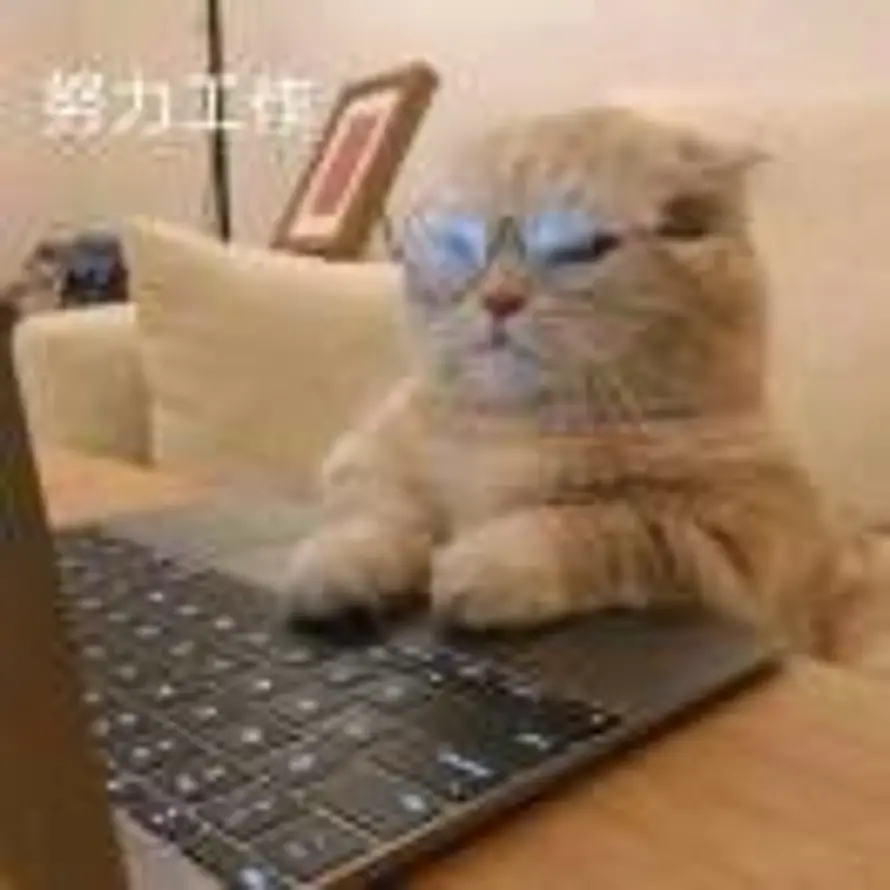 彭彭彭稳的头像