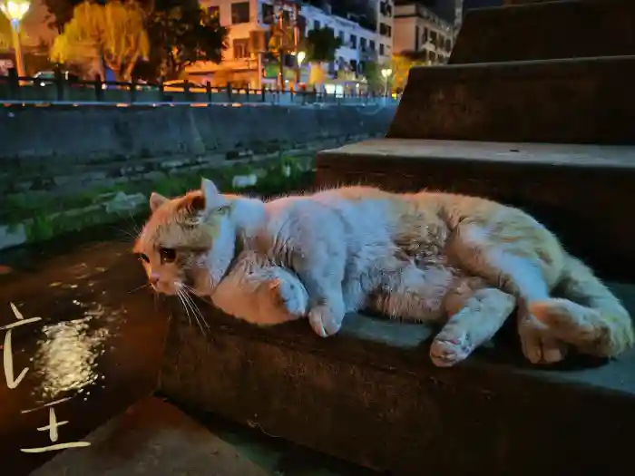 桑桑123的头像