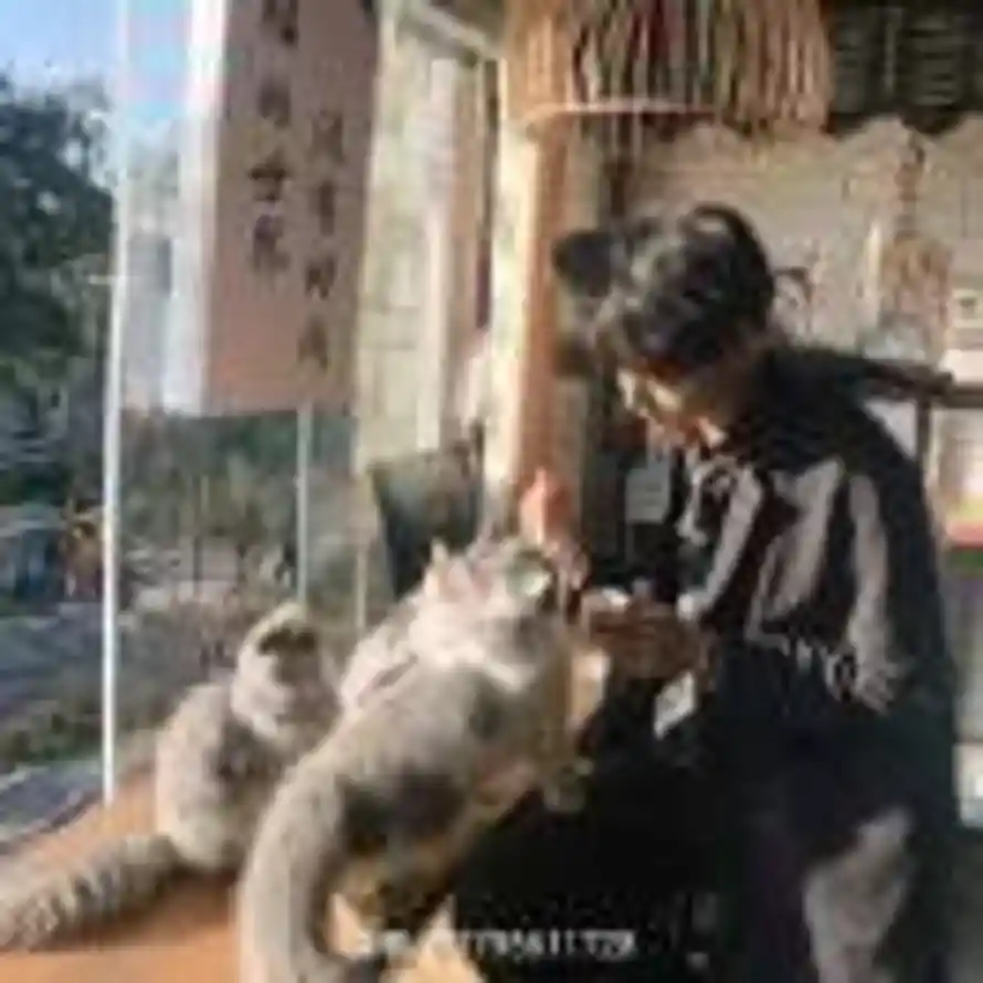 Adieu à l'amour的头像