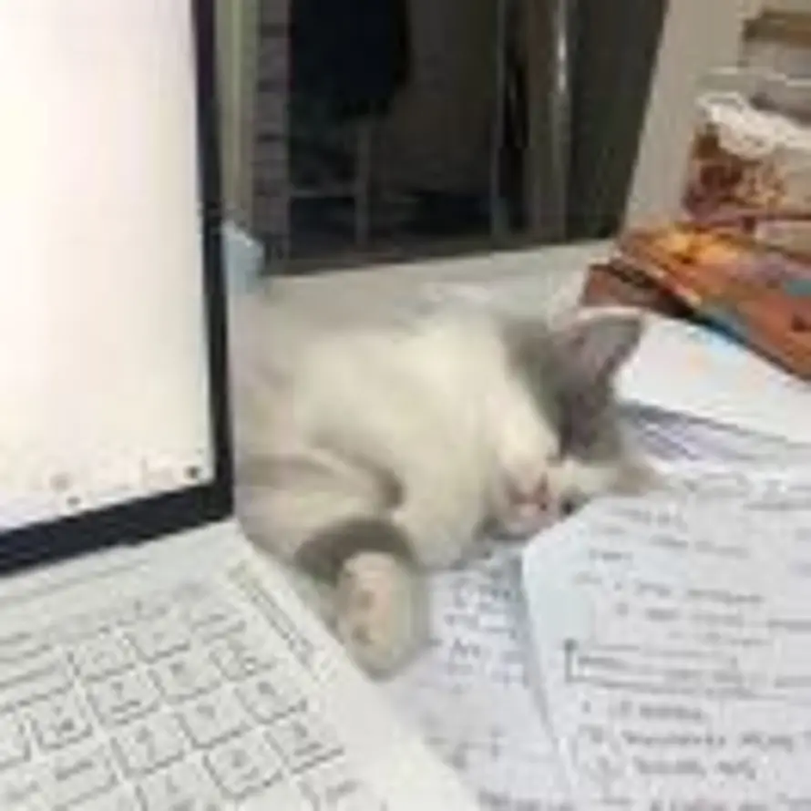 ？的头像