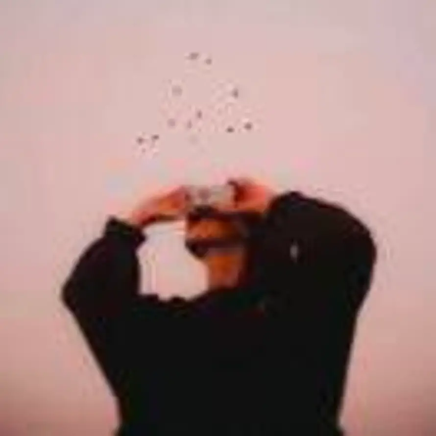 Lv的头像