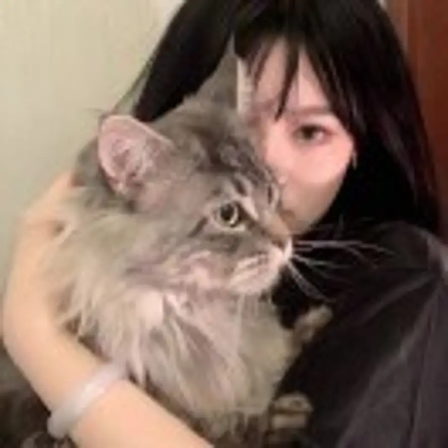 E的头像