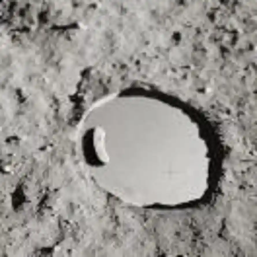 用户.·llL的头像