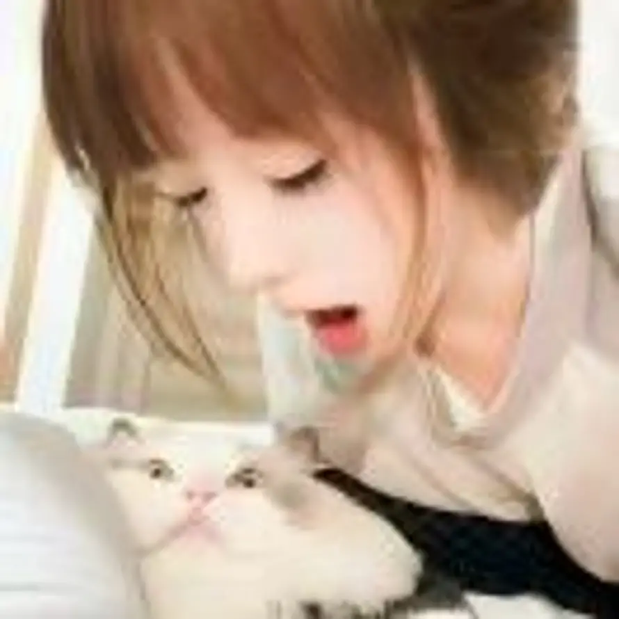 要养只爱你的猫的头像