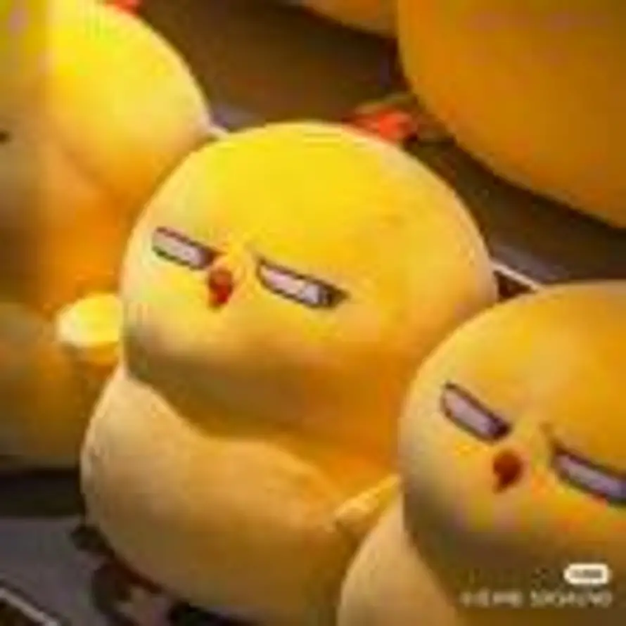 南希的头像