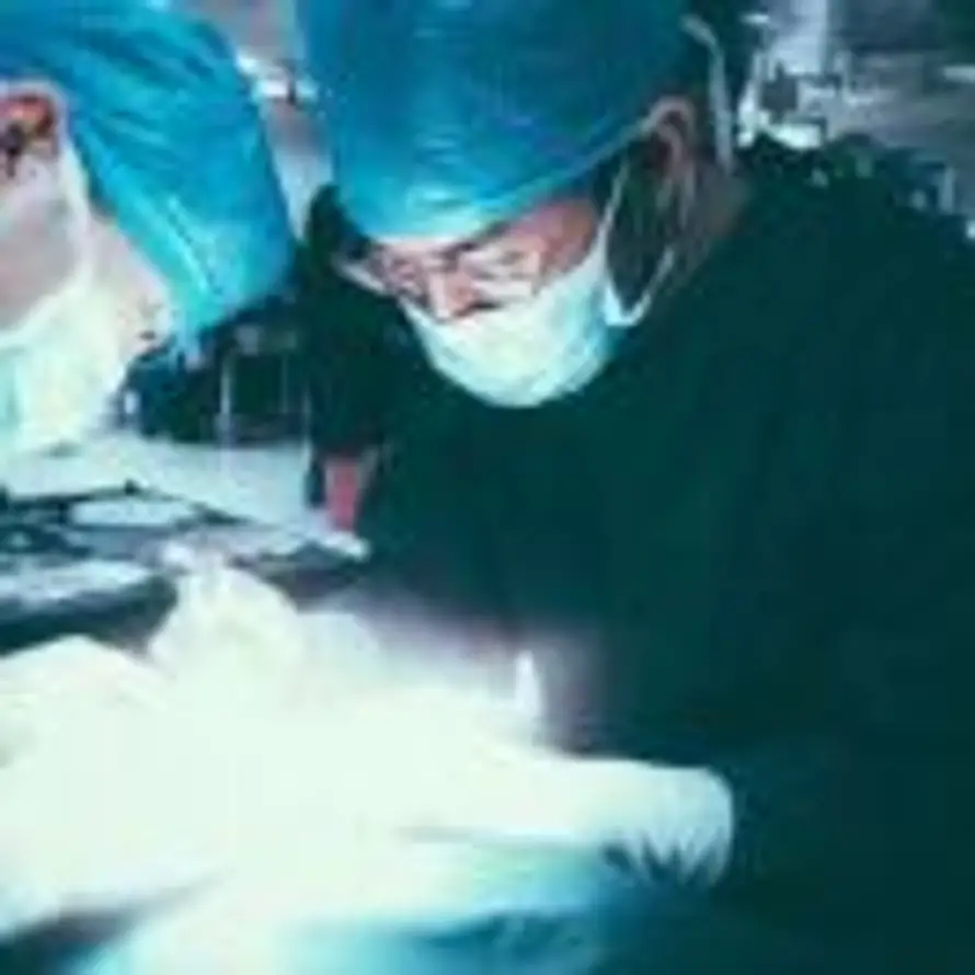 刘果的用户头像 - 哲风壁纸