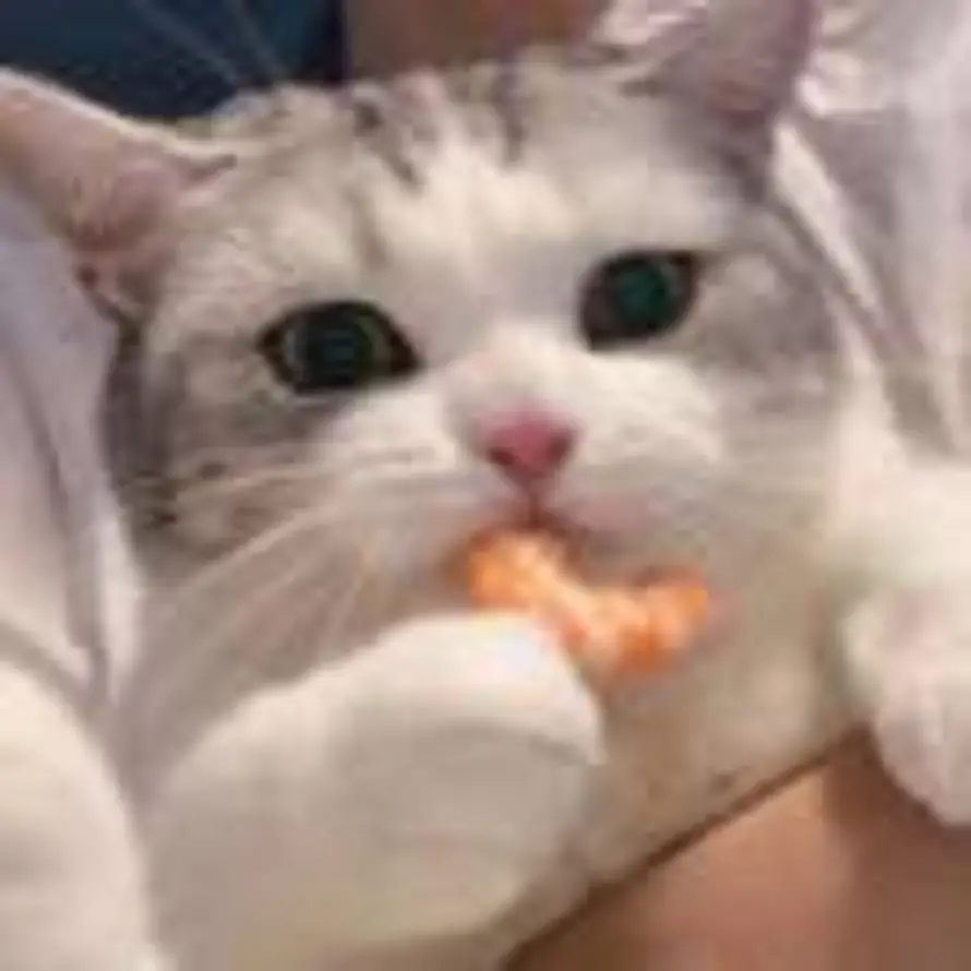 未知的头像