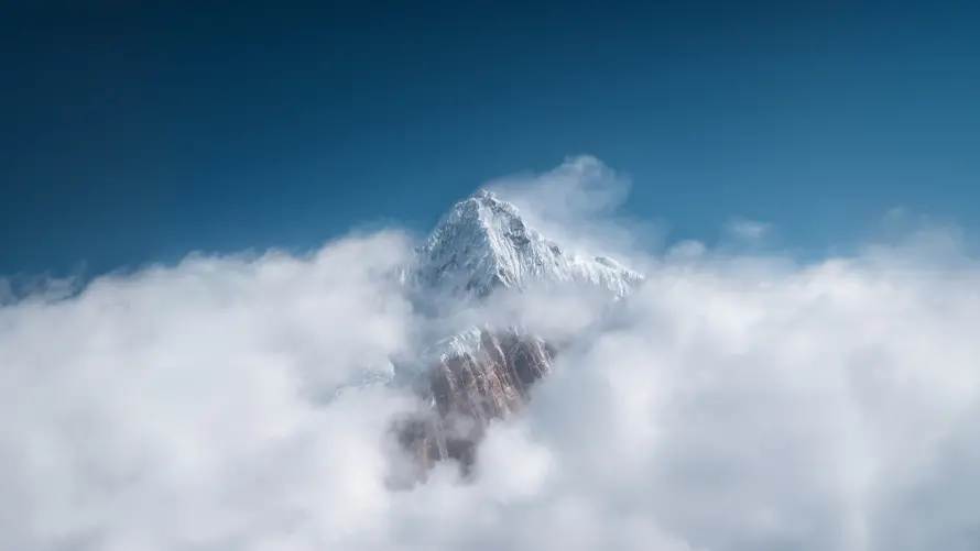 Favorite Image