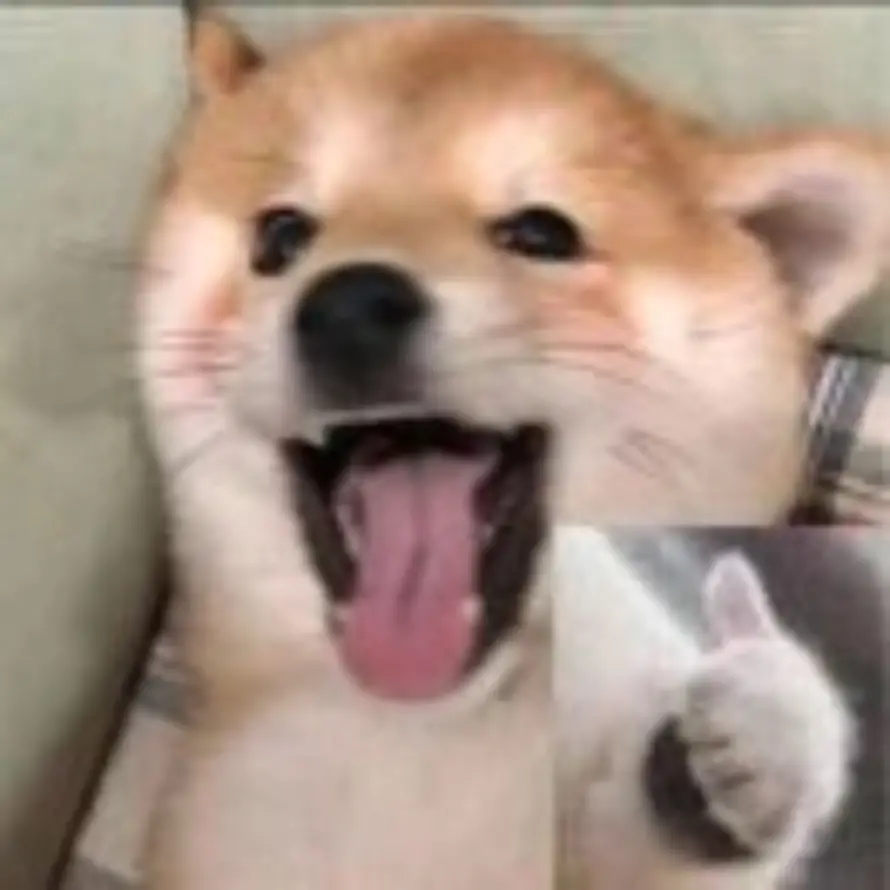 诚斋的头像