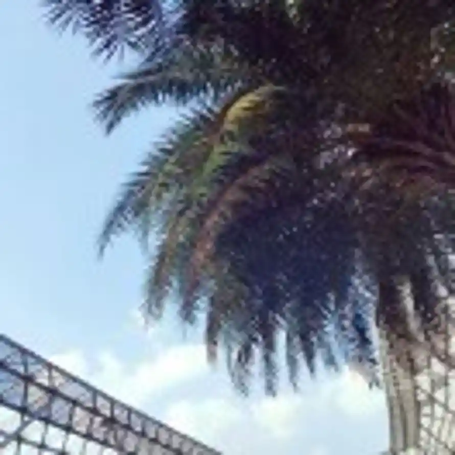 RICO-CDᵀᴹ的头像