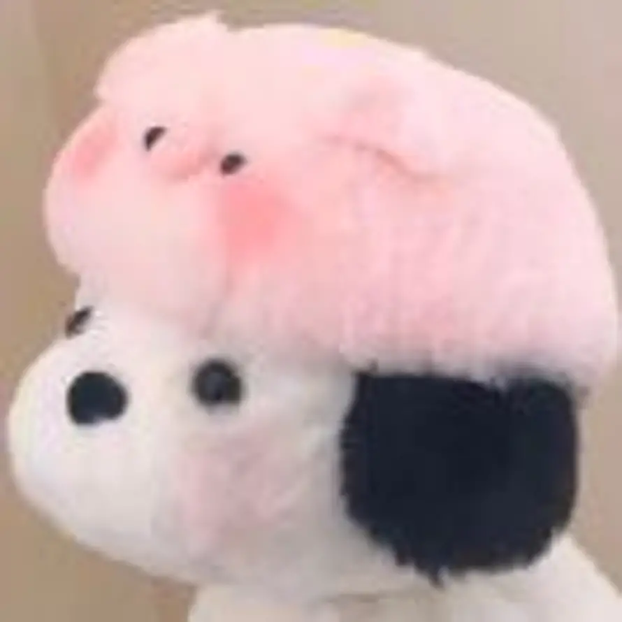 尼克的头像