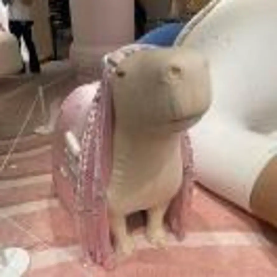 🌷的头像