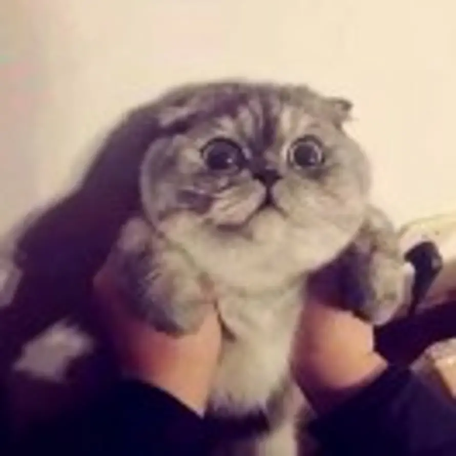 咕咕咕📷的头像