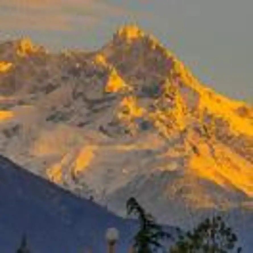 斟酌再三的头像