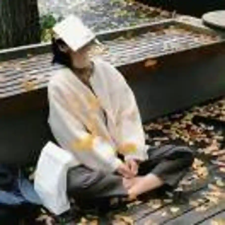 翡翠白玉和汤的头像