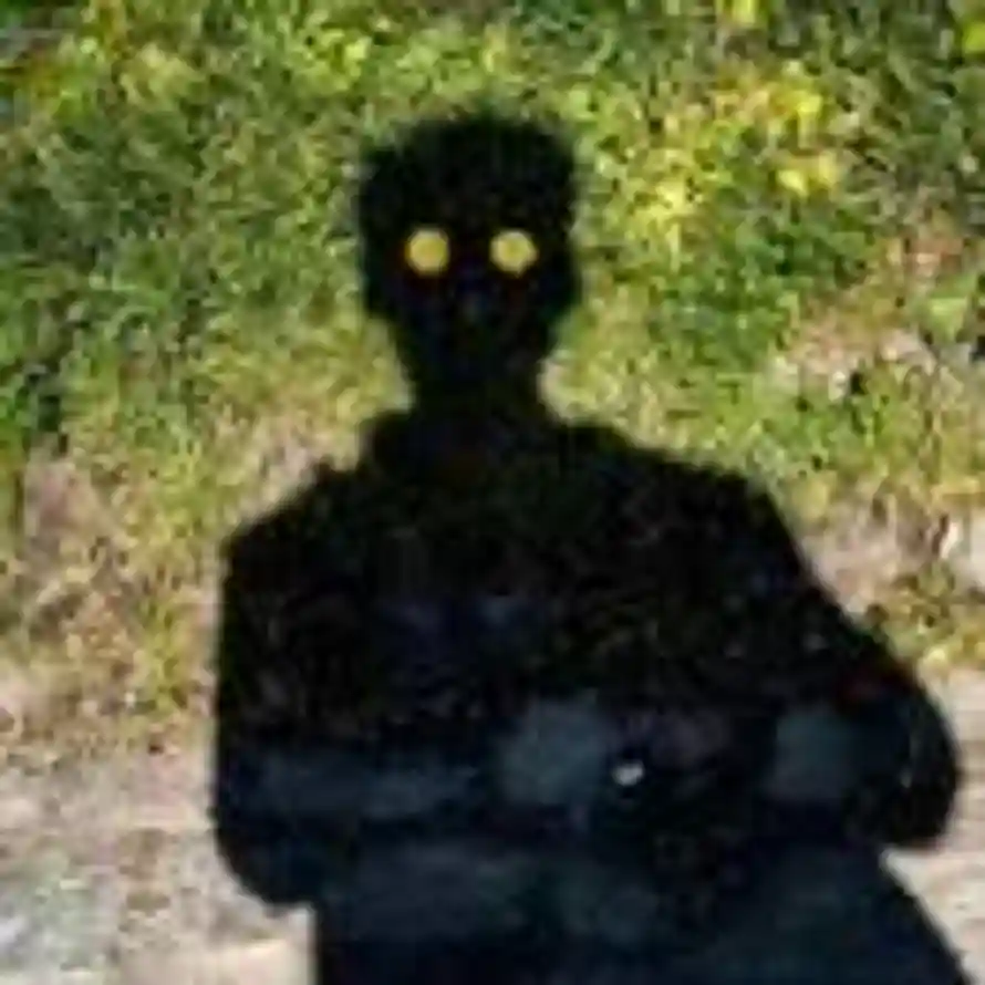 🌲🌲🚰🐏的头像