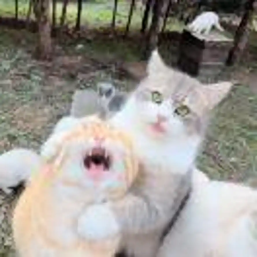 用户冬阳夏至的头像