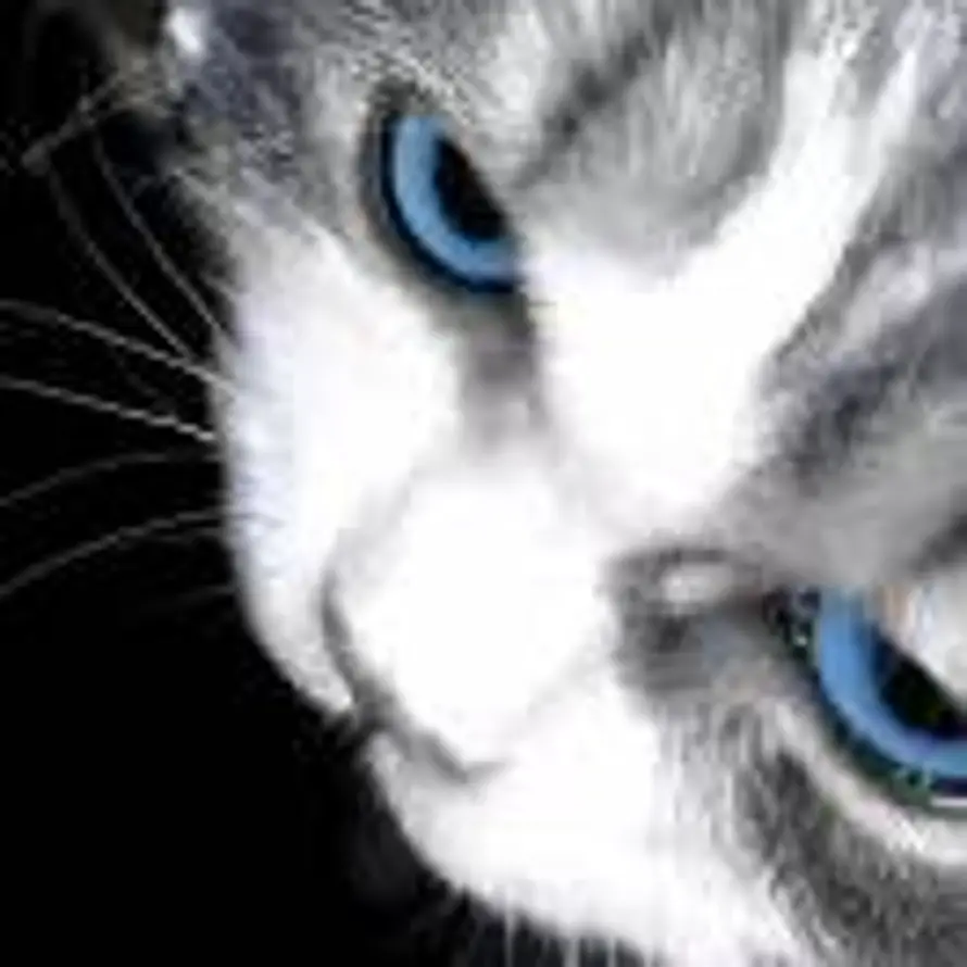 ㅤㅤCoffee&Books的头像