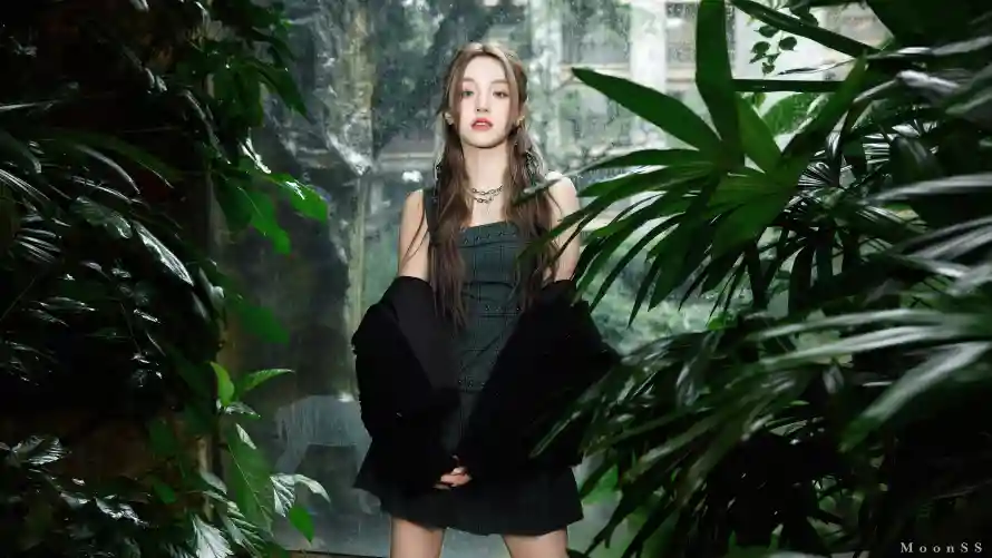 4k明星壁纸-宋雨琦与歌手-森系少女热门的壁纸「哲风壁纸」