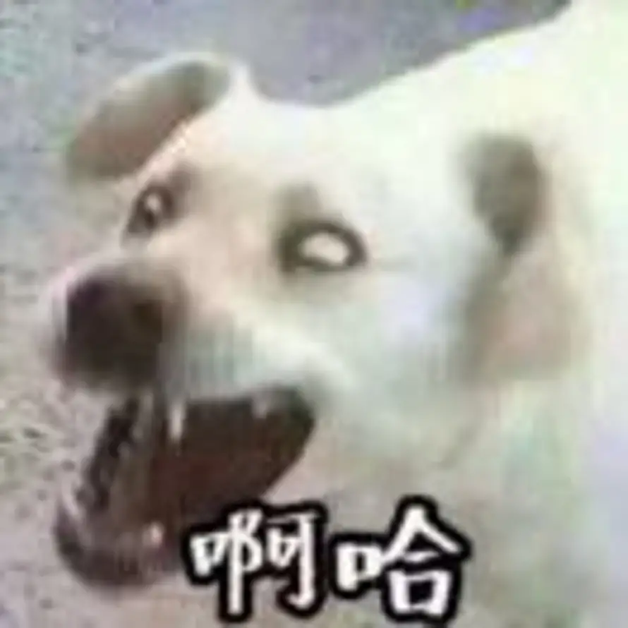无能狂怒气死自己的头像