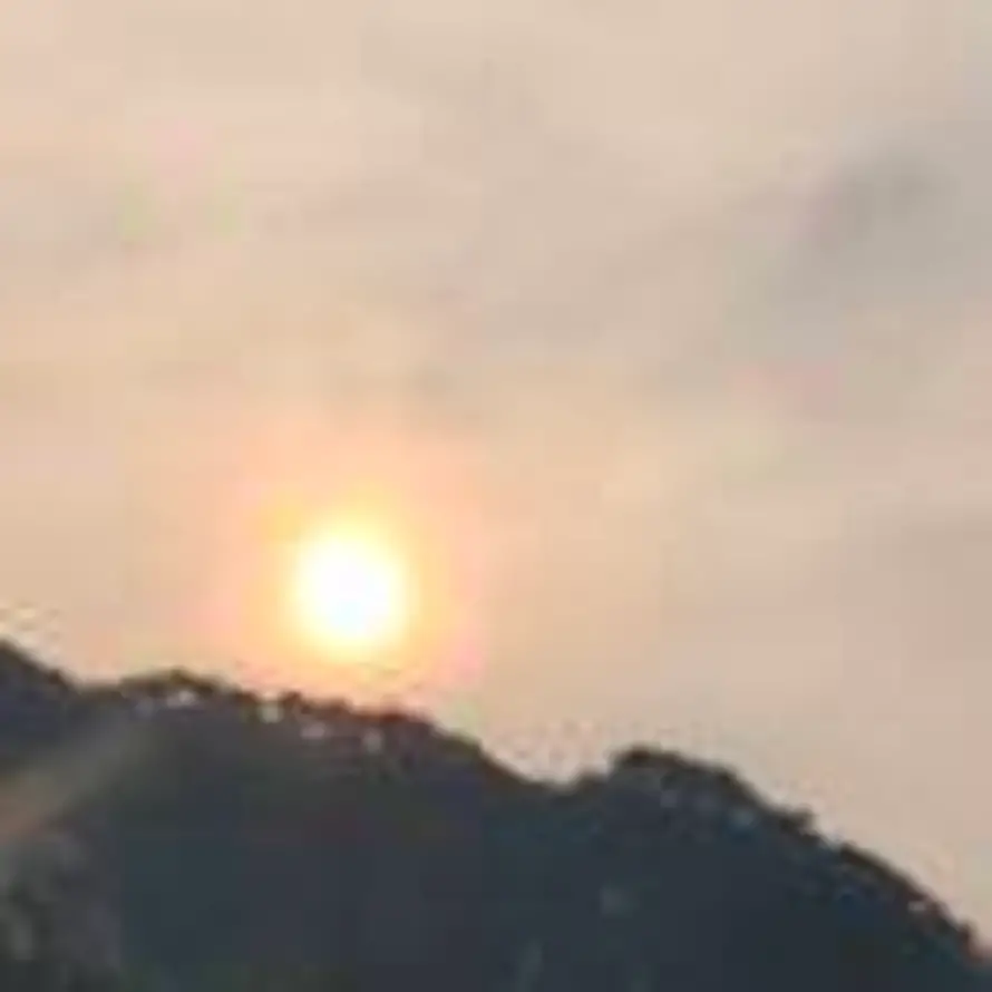 z的头像