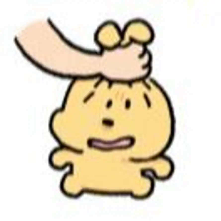 言蹊的头像