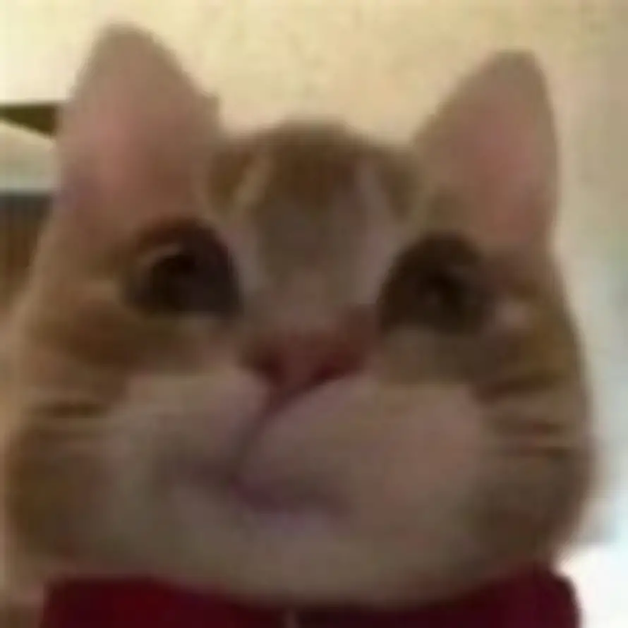 華的头像