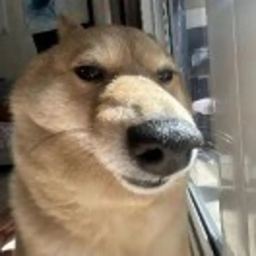 张的头像