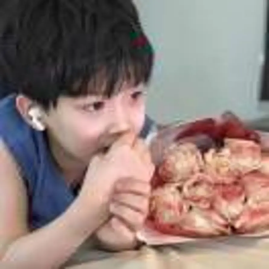枏的头像