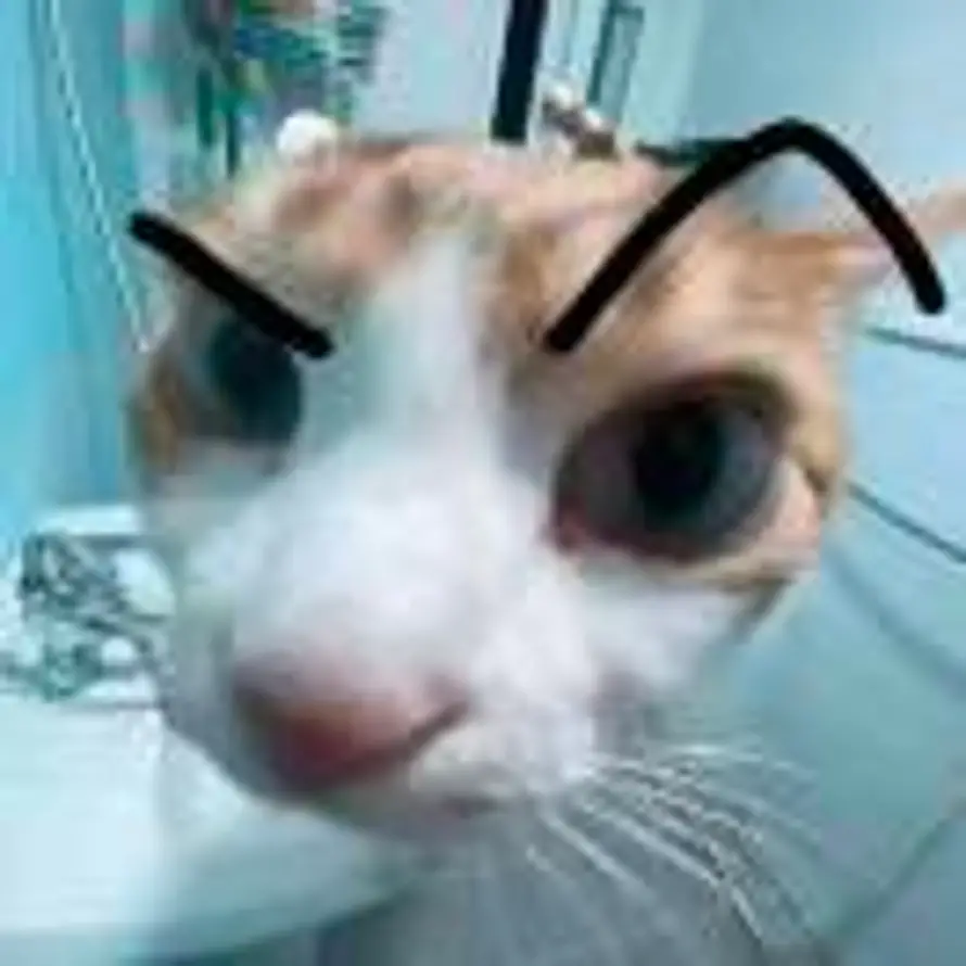 XXXXXXXXXXXXXXXXXXXXXXXXXXXXXXXX的头像