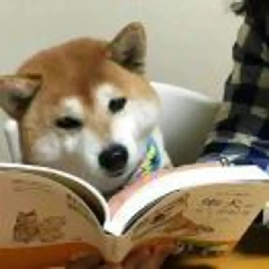 ㅤㅤ的头像