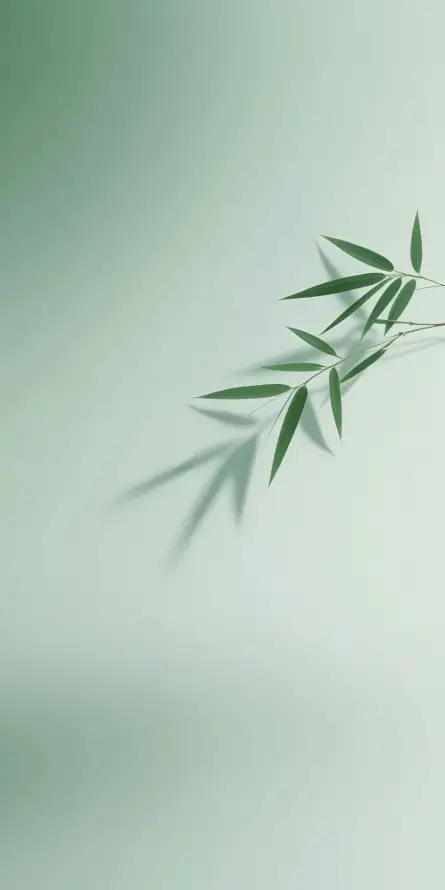 4k光影壁纸 - 竹叶 - 竹影 - 植物壁纸「哲风壁纸」