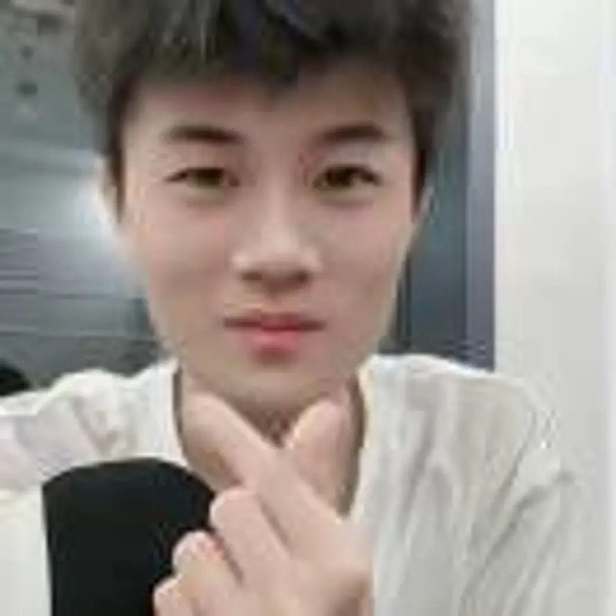 候鸟总归途的头像