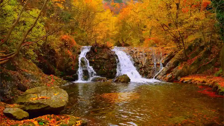 4k风景壁纸 - 秋潭 - 热门壁纸 - wallpaper「哲风壁纸」