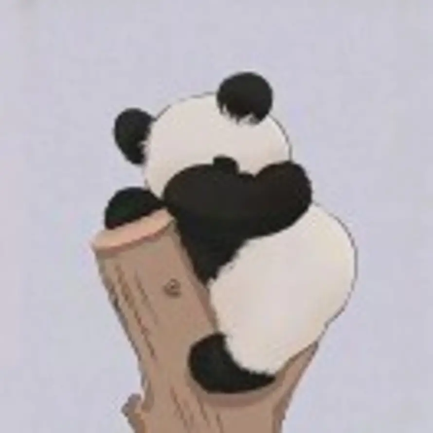 木齐缘的头像