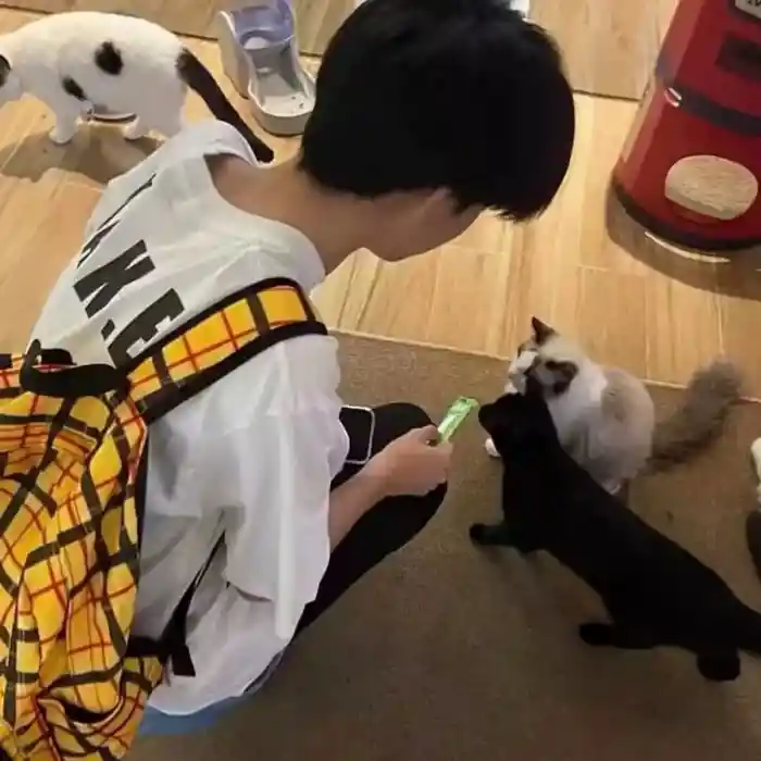 爱磕甲沟炎的头像