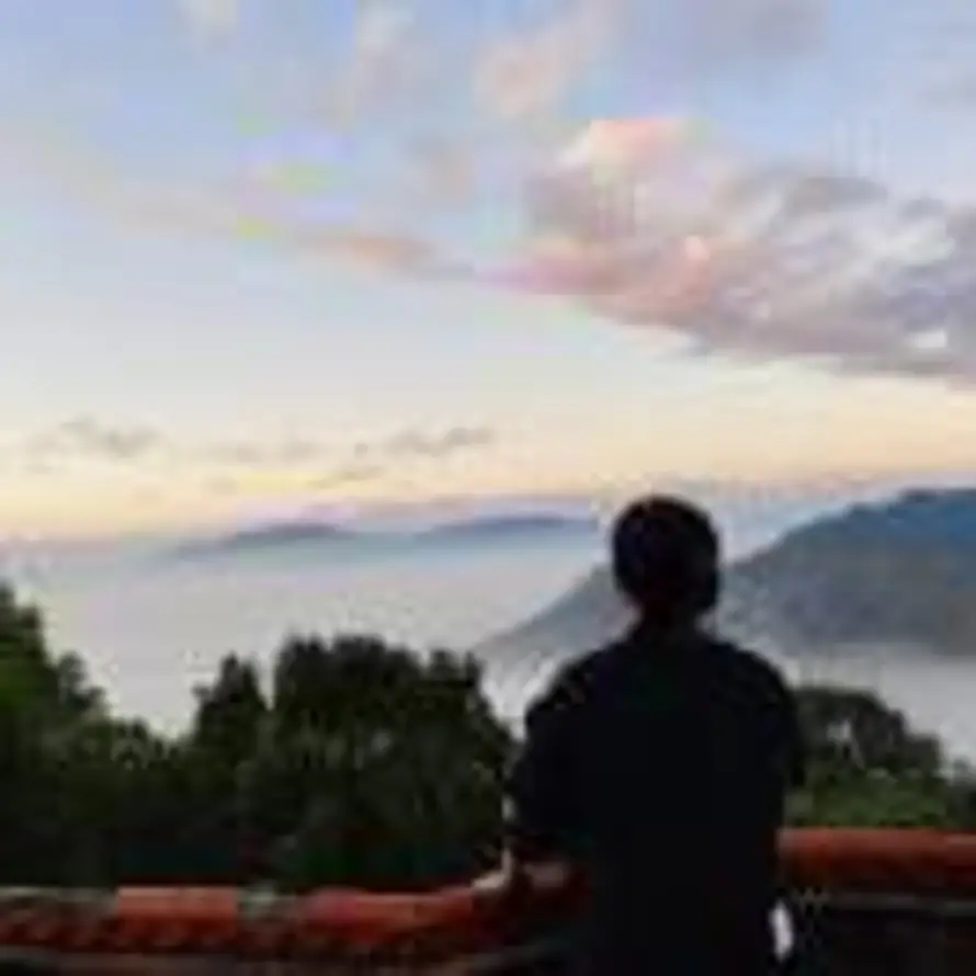  雾起沿途的头像